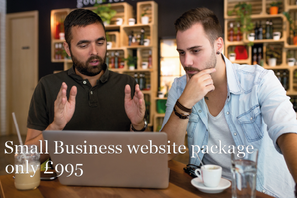 Small Business Package by Catchy web design